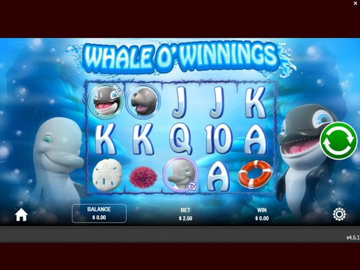 casino dolphins pearl deluxe tipps