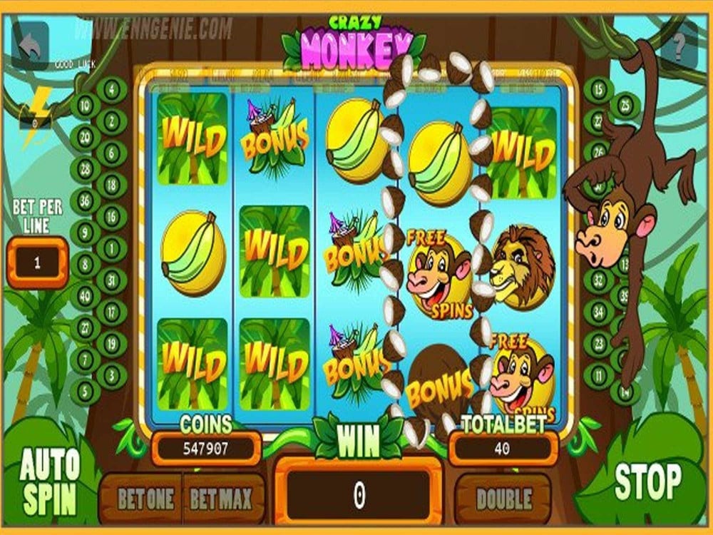 zar casino no deposit bonus codes 2019