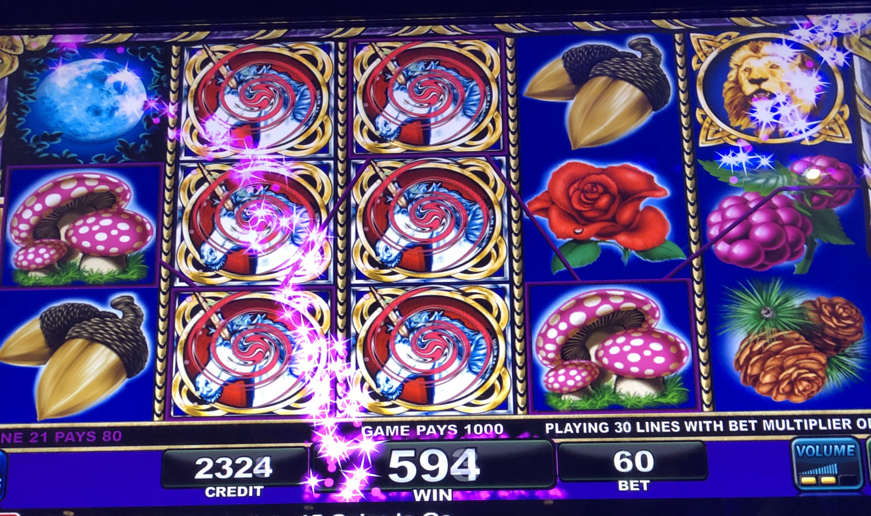 oink country love slot play for money